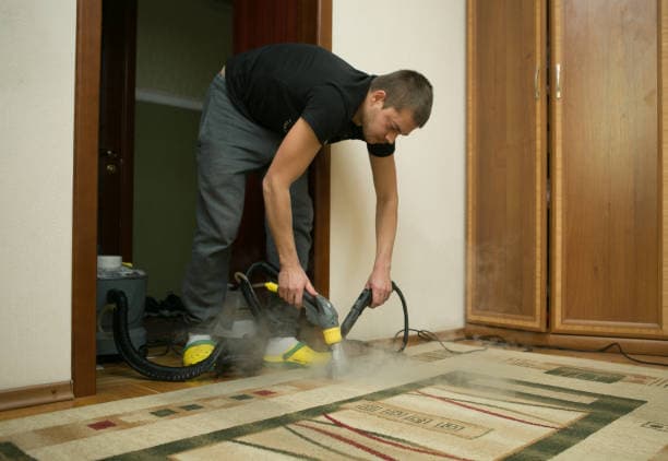 What is the best time to hire a carpet steam cleaning company