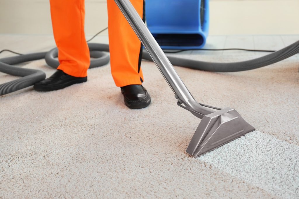 What is the best time to hire a carpet steam cleaning company?